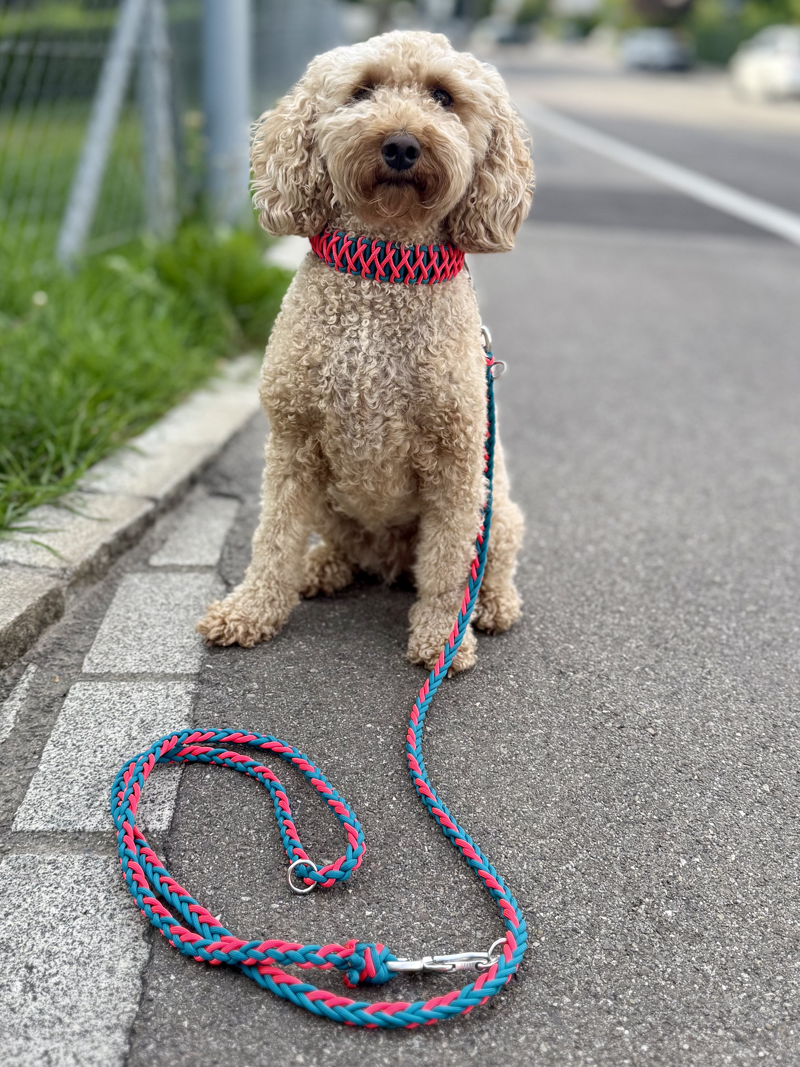 Leinen Galeriebild 3